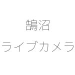 鵠沼の波情報のライブカメラ